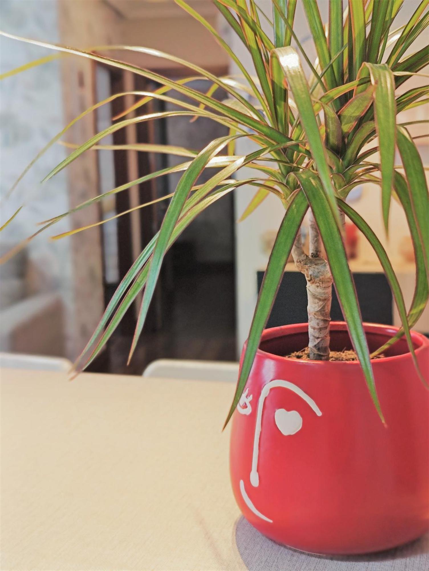 Apartament Bec, Hospital Cruces, Parking Gratis, Wifi, Aa, A 15 Min De Bilbao Barakaldo Zewnętrze zdjęcie
